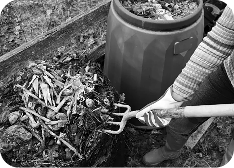 Person raking food waste into compost